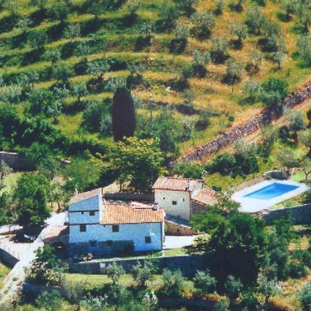 Agriturismo Montereggi Fiesole Oda fotoğraf